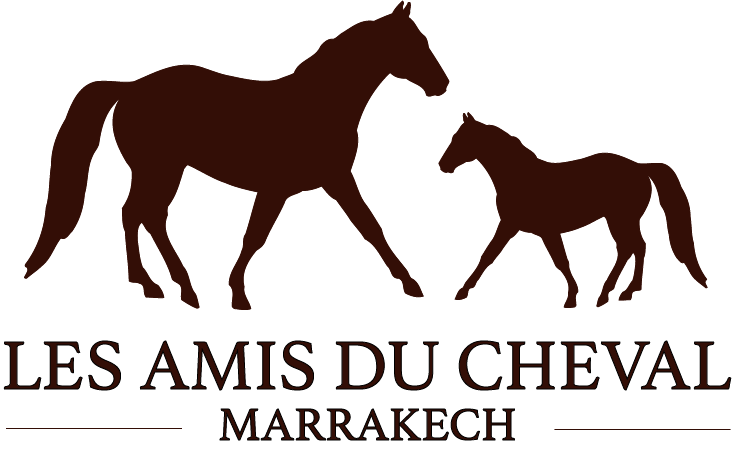 Les Amis Du Cheval