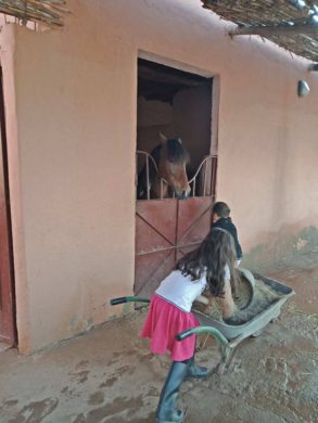stage-equitation-marrakech-enfants stage-equitation-marrakech-enfants
