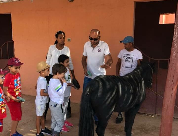 groupe-equitation groupe-equitation